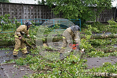 Emergency workers are clearing the streets from the collapsed the old tree after a storm Editorial Stock Photo