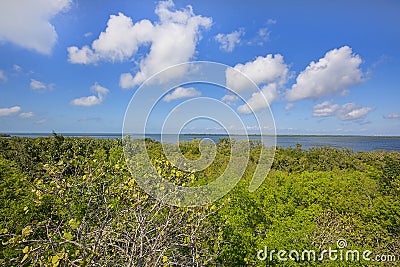 Emerson Point Preserve High View Of Horizon Over The Gulf of Mexico Stock Photo