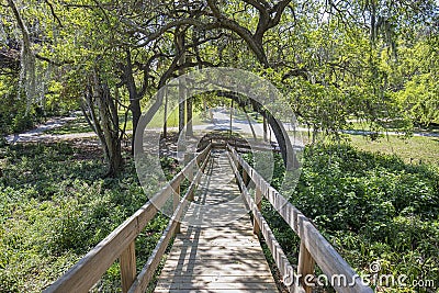 Emerson Point Preserve in Palmetto Stock Photo