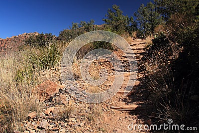 Emory Peak Trail Stock Photo