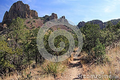 Emory Peak Trail Stock Photo