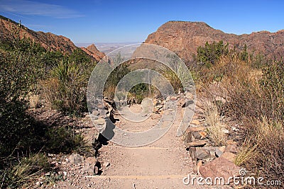 Emory Peak Trail Stock Photo