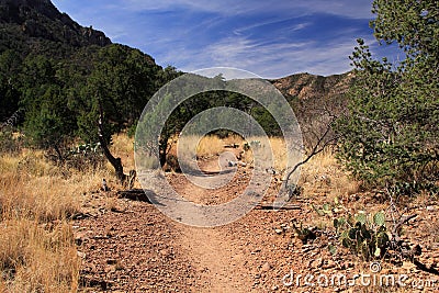 Emory Peak Trail Stock Photo