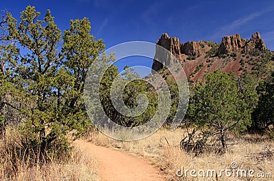 Emory Peak Trail Stock Photo