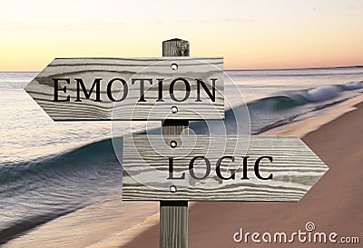 Emotion versus logic Stock Photo