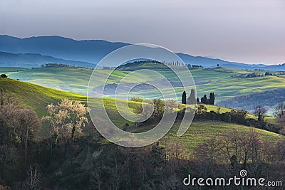 Emotional green fields in the light of the spring sunshine in Tu Stock Photo