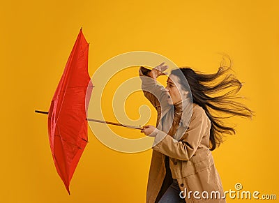 Emotional woman with umbrella caught in gust of wind on yellow background Stock Photo