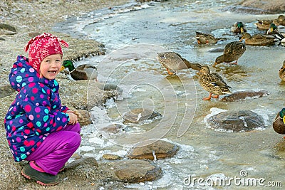 Emotions of a small child at the sight of wild mallards on a freezing river Stock Photo