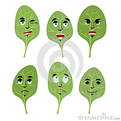 Emotions spinach. Set expressions avatar greens. lettuce leaf Go Vector Illustration