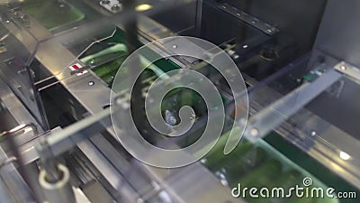 Empaquetadora para el pepino en la fábrica almacen de video Empaquetadora para el pepino en la fábrica almacen de video