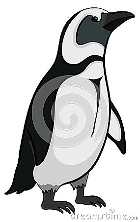 Emperor penguin Vector Illustration