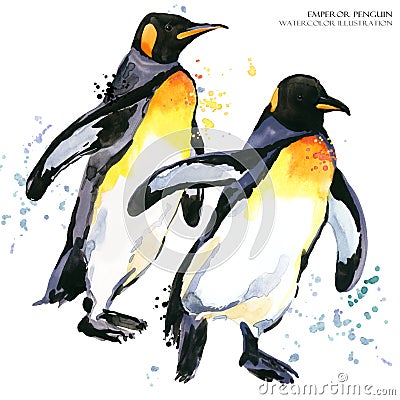 Emperor penguin set watercolor illustration Cartoon Illustration