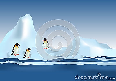 Emperor Penguins, cdr vector Vector Illustration