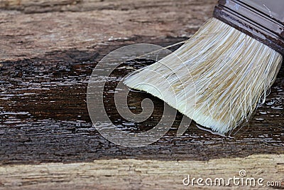 Emphasize linseed oil Stock Photo