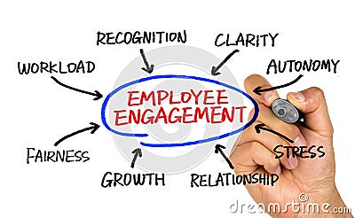 Employee engagement diagram hand drawing on whiteboard Stock Photo