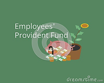 Employee provident fund and contribution for retirement investment Vector Illustration