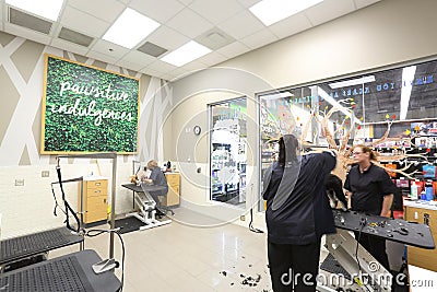 Pet grooming in a Petco store. Editorial Stock Photo
