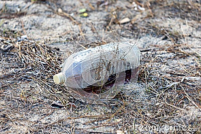 Emply Plastic Bottle on Beach Stock Photo