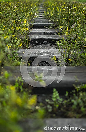 Empty abandoned overgrown railroad track. Perspective view Stock Photo