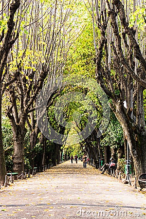 Empty alley in Cismigiu park in Bucharest, capital city of Romania Editorial Stock Photo