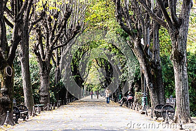 Empty alley in Cismigiu park in Bucharest, capital city of Romania Editorial Stock Photo