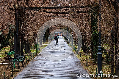 Empty alley in Cismigiu park in Bucharest, capital city of Romania Editorial Stock Photo