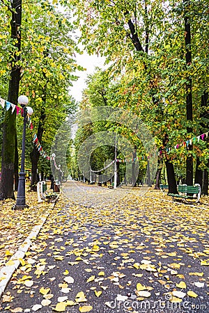 Empty alley from the main park in Pucioasa Stock Photo