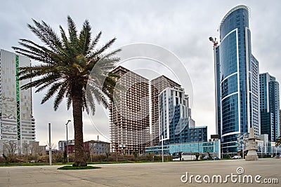 Empty alley with palm tree and modern architecture background Editorial Stock Photo