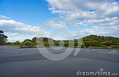 Empty asphalt street floor and garden Stock Photo