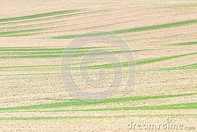 Empty barren brown field with green grass stripes Stock Photo