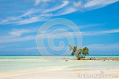 Empty Beach on Havelock Island Stock Photo