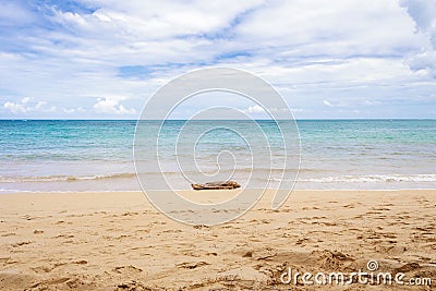 Empty beach with log on the sand Stock Photo