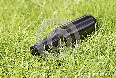 Empty beer bottle in the grass Stock Photo