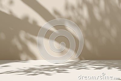 Empty beige stage background with tree and leaf shadows on the wall Stock Photo