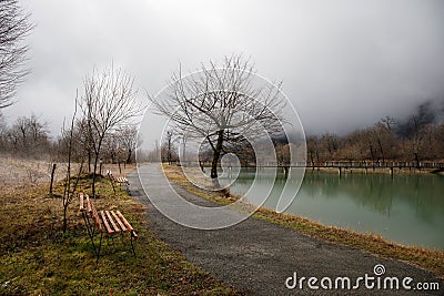 Empty bench at park near pond by foggy day, minimalistic cold season scene. bench at the lake in the fog in the forest. Bench near Stock Photo