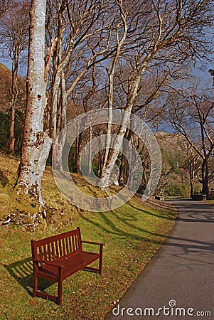 Empty Bench in a Quiet Park Stock Photo