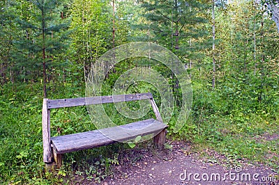 The empty bench, standing in the woods Stock Photo