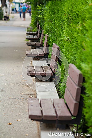 Empty benches Stock Photo