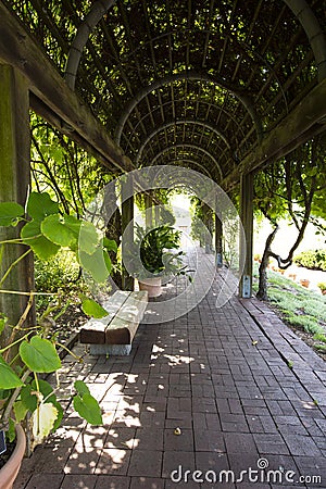 Empty benches in garden tunnel and shaped pergola Stock Photo