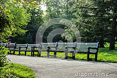 Empty benches Stock Photo