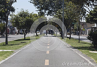 an empty bike path in middle of big trees on sunny day during bogota no car day event Editorial Stock Photo