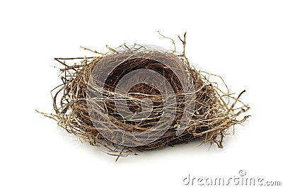 Empty bird nest Stock Photo