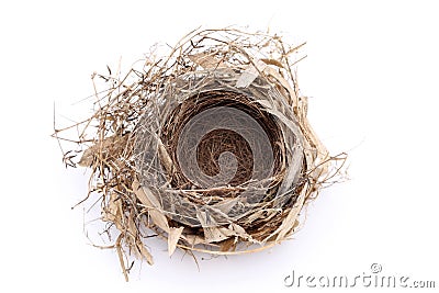 Empty bird nest Stock Photo