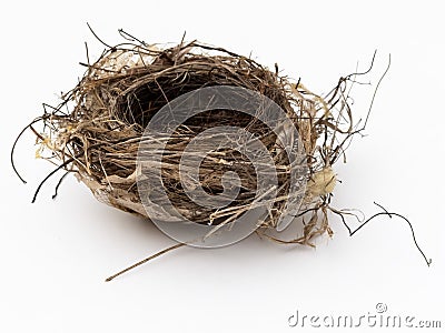 Empty bird nest Stock Photo