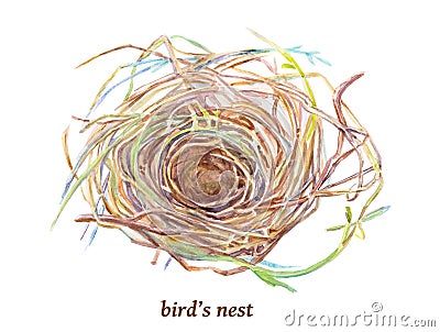 Empty bird`s nest made of twigs isolated on the white background. Watercolor handdrawn illustration. Cartoon Illustration