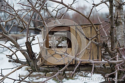 Empty birds feeder on tree during winter season Stock Photo
