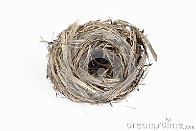 Empty birds nest Stock Photo