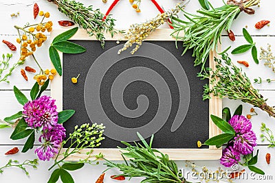 Empty blackboard and healing herbs. Top view. Stock Photo