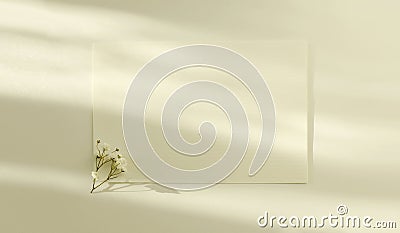 Empty Blank texture canvas paper card with copy space for your text message and gypsophila flower. Light and shadows minimalism Stock Photo