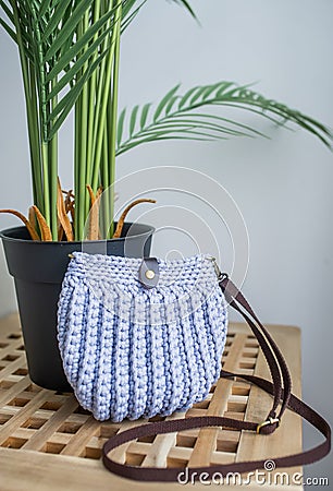 Empty blue knitted purse and green plant in a vase is on wooden table Stock Photo